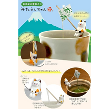 將圖片載入圖庫檢視器 秦家(HATAYA) Mitarashi-chan 煎茶茶包貓公仔組禮盒
